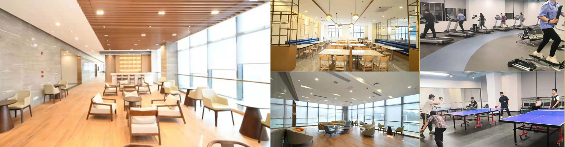 職業生涯 職業生涯